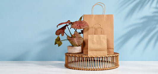 Kraft Paper Bags with Twist Handles: A Sustainable and Practical Packaging Solution