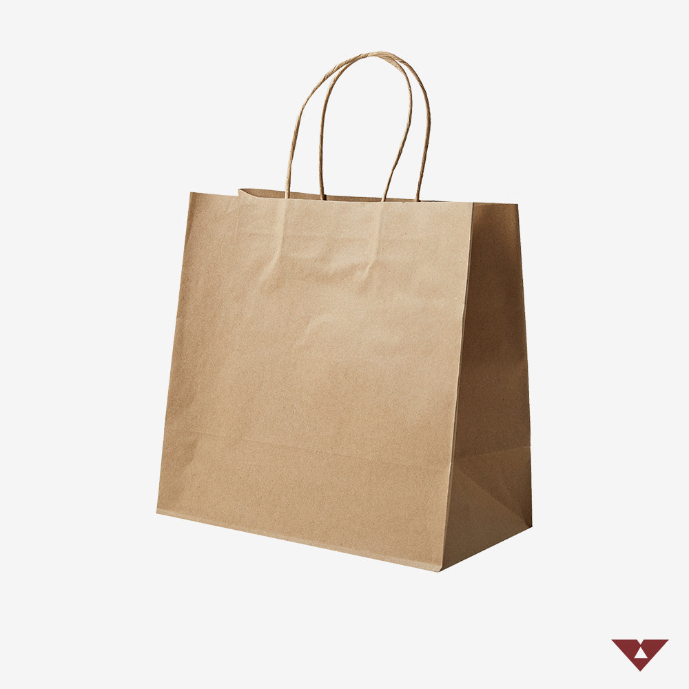 Large Kraft Paper Bag with Twist Handle Vektropack